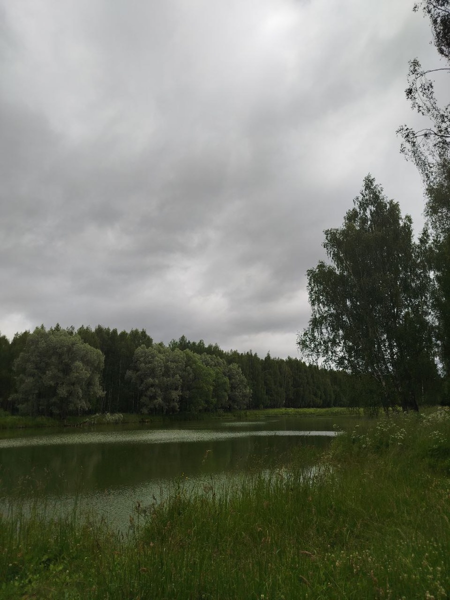 Костромской дендропарк