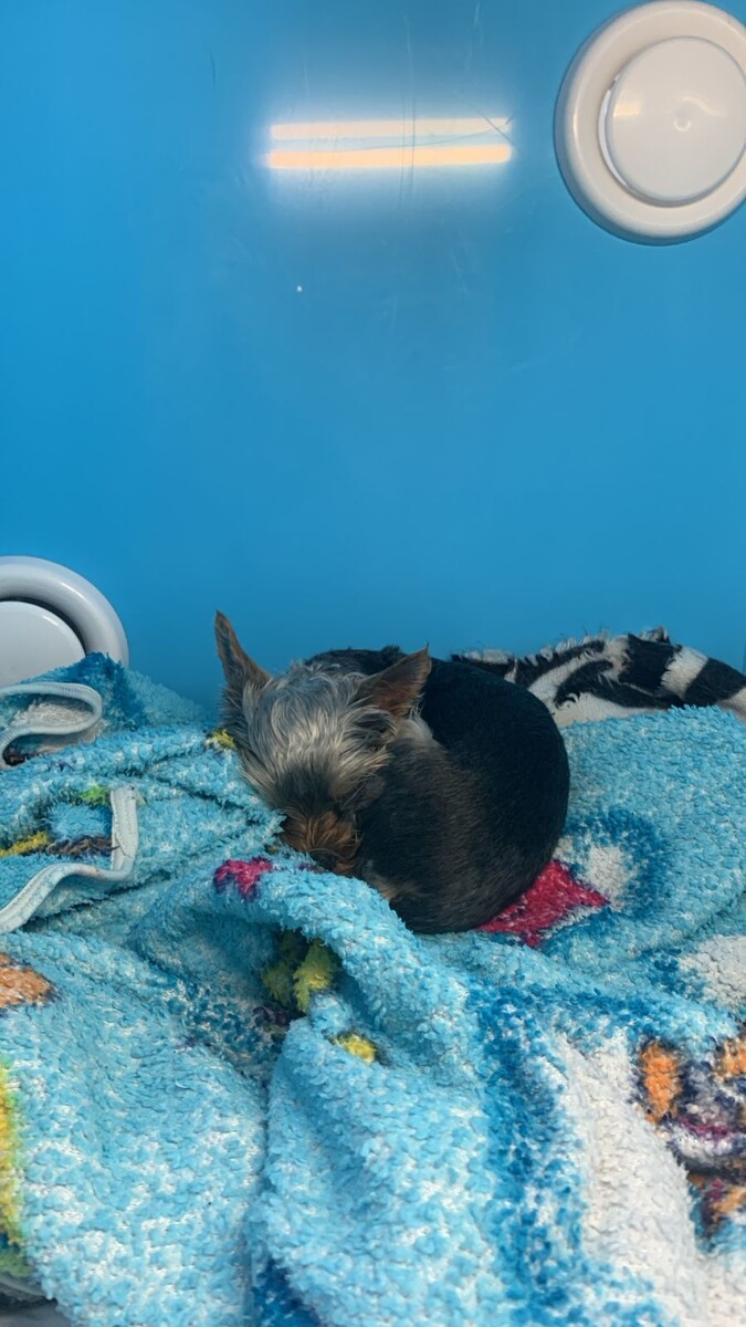 Прошло несколько часов нахождения в стационаре. 