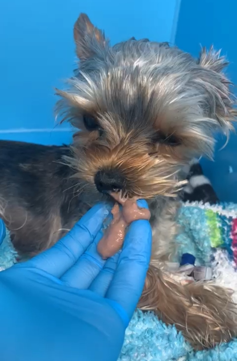 Вечер в стационаре. 