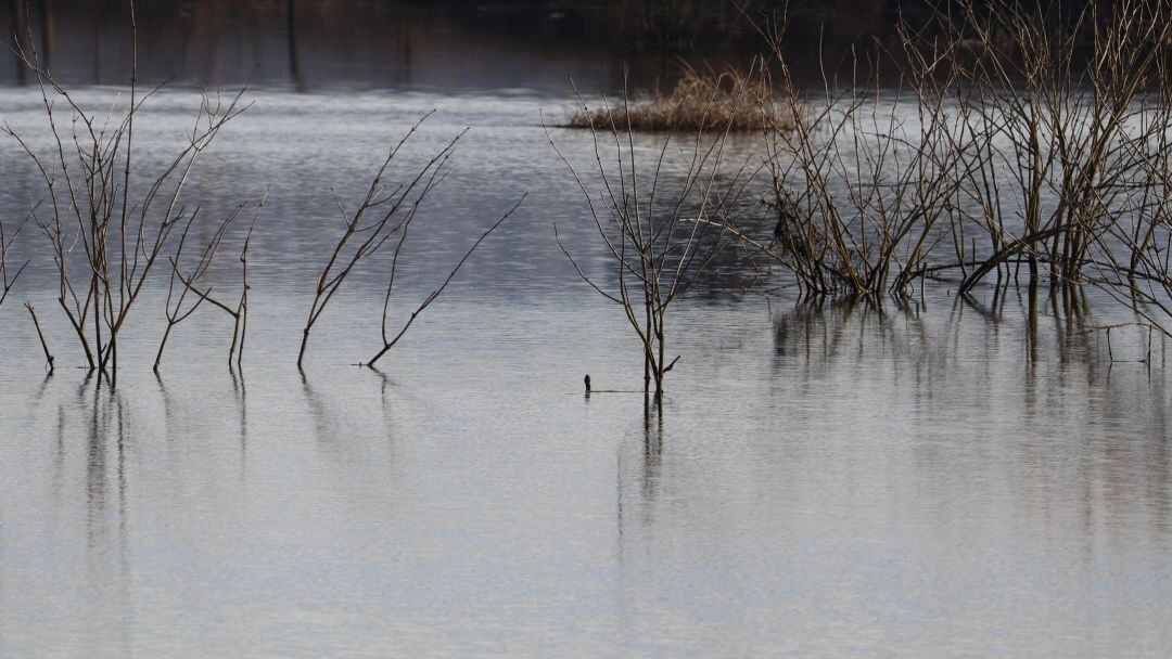    Фото: Maksim H//Shutterstock/Fotodom