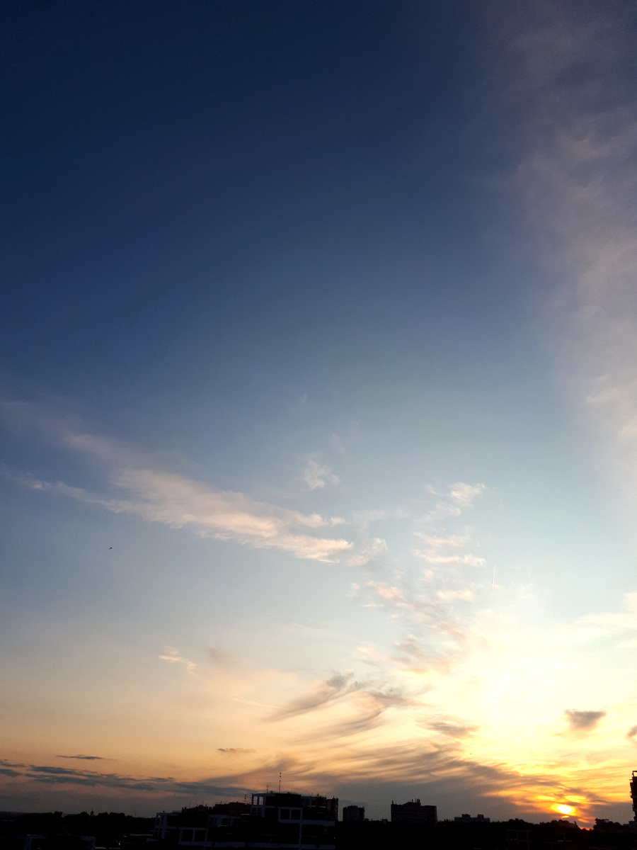 Фото автора 27.06.2025г.