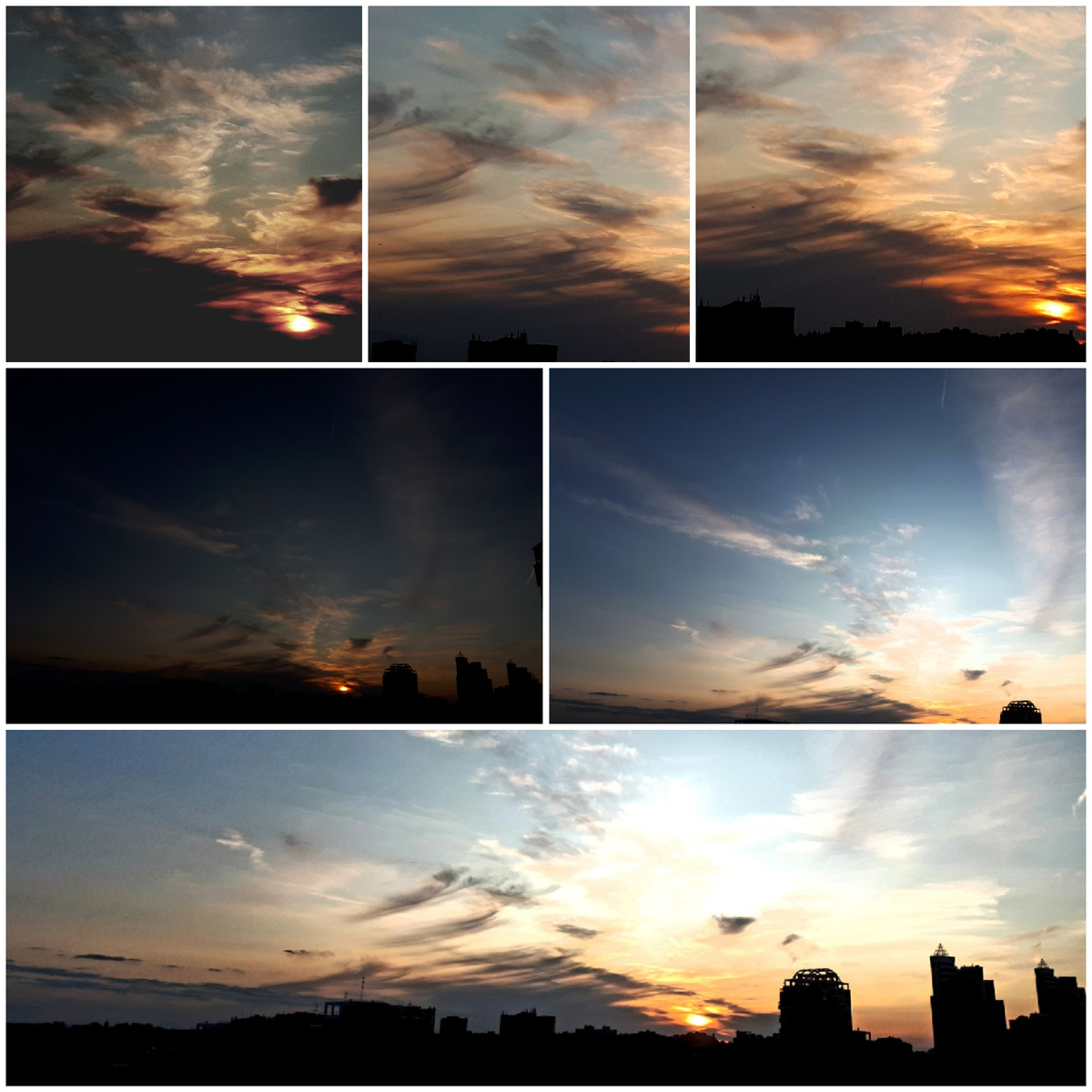 Фото автора 27.06.2025г.