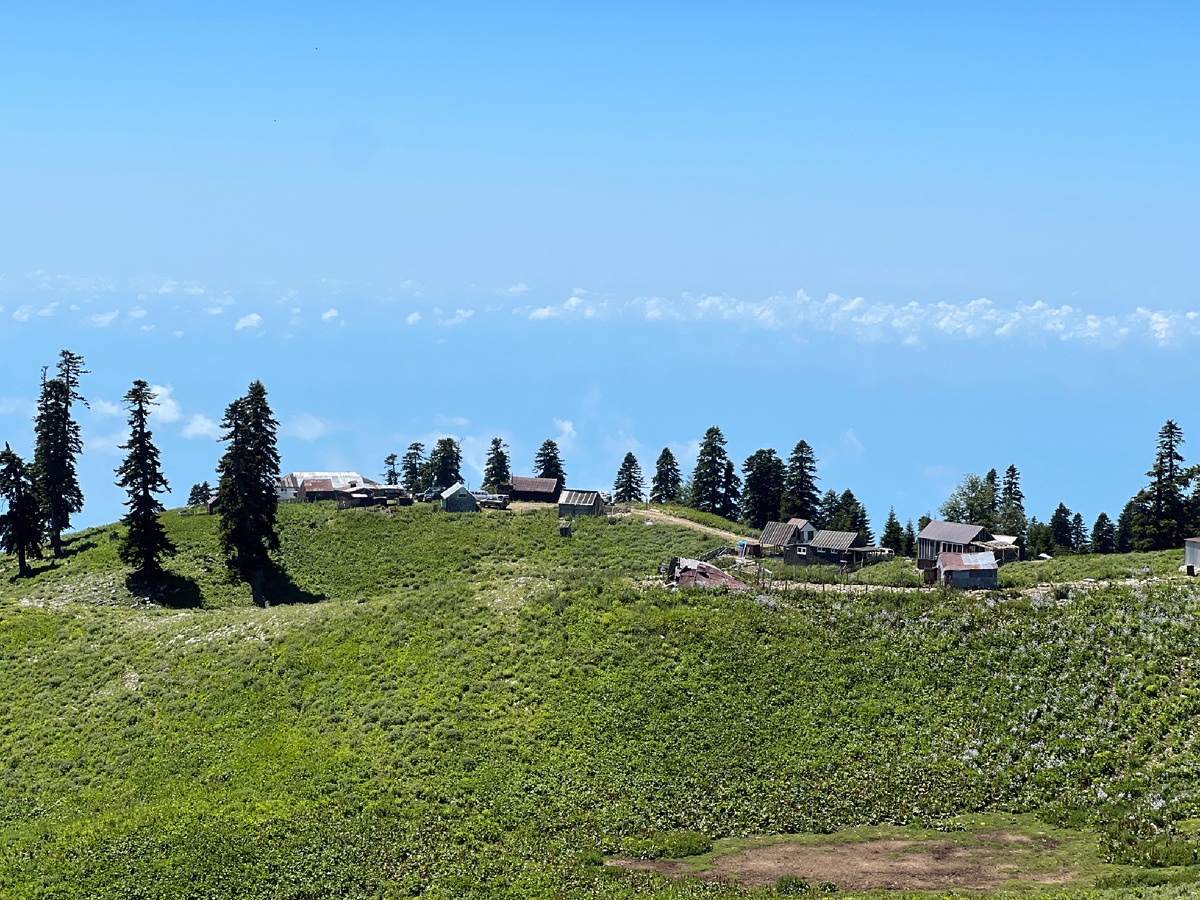 Альпийские луга