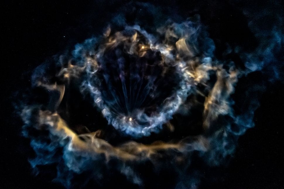 Источник: SpaceX  📷
