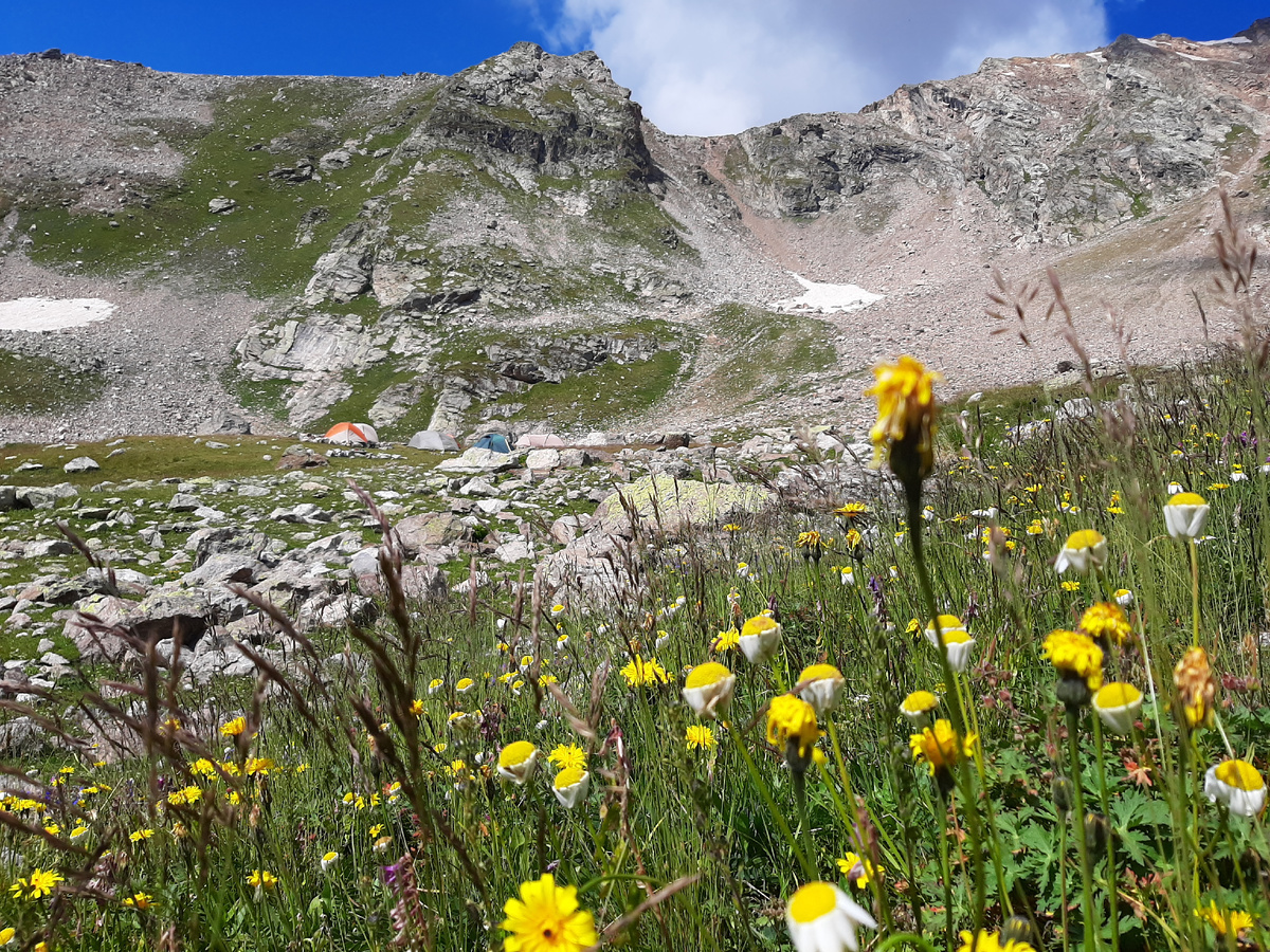 стоянки "под Трезубцем"