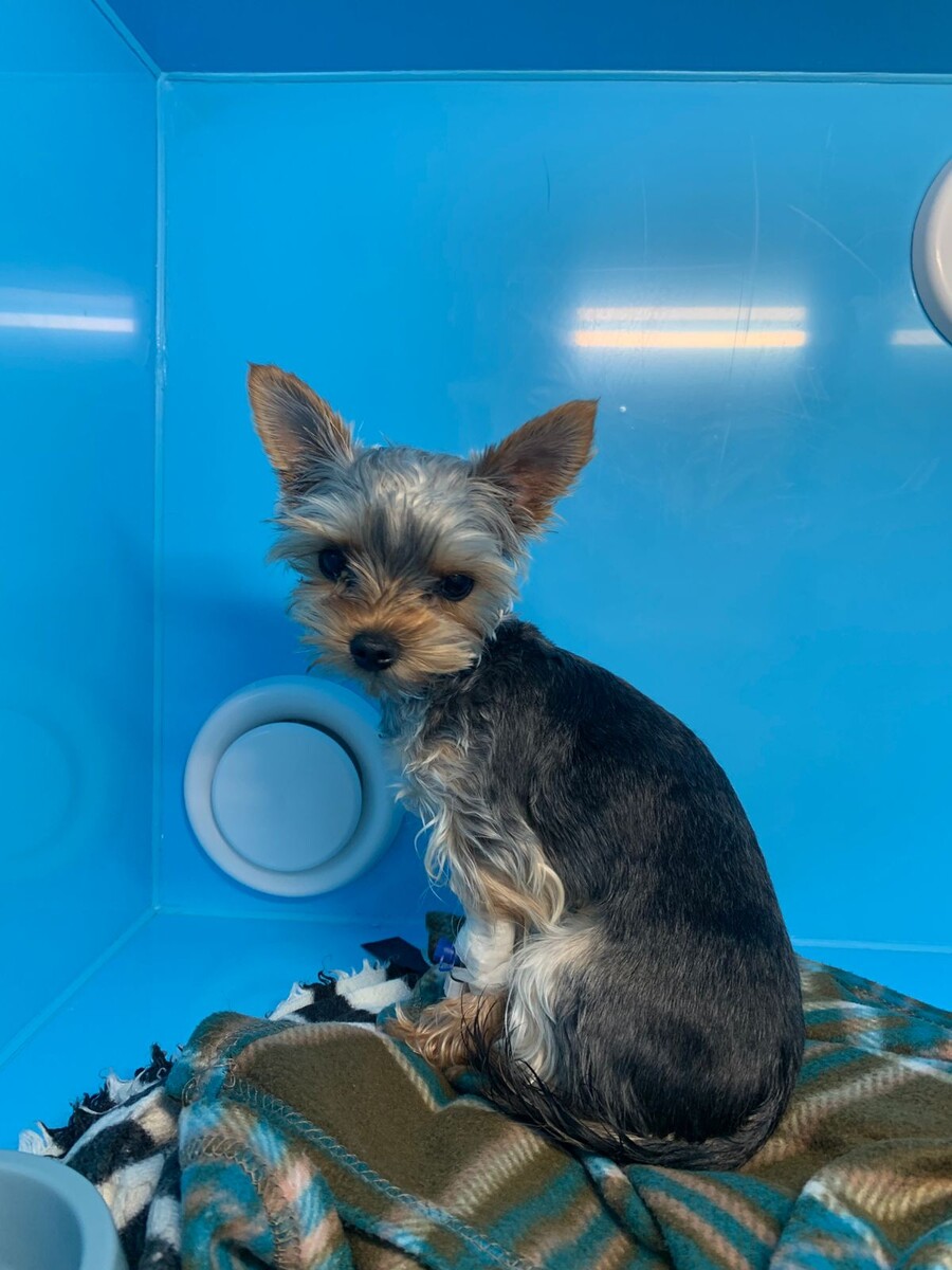 Перед выпиской из стационара. 