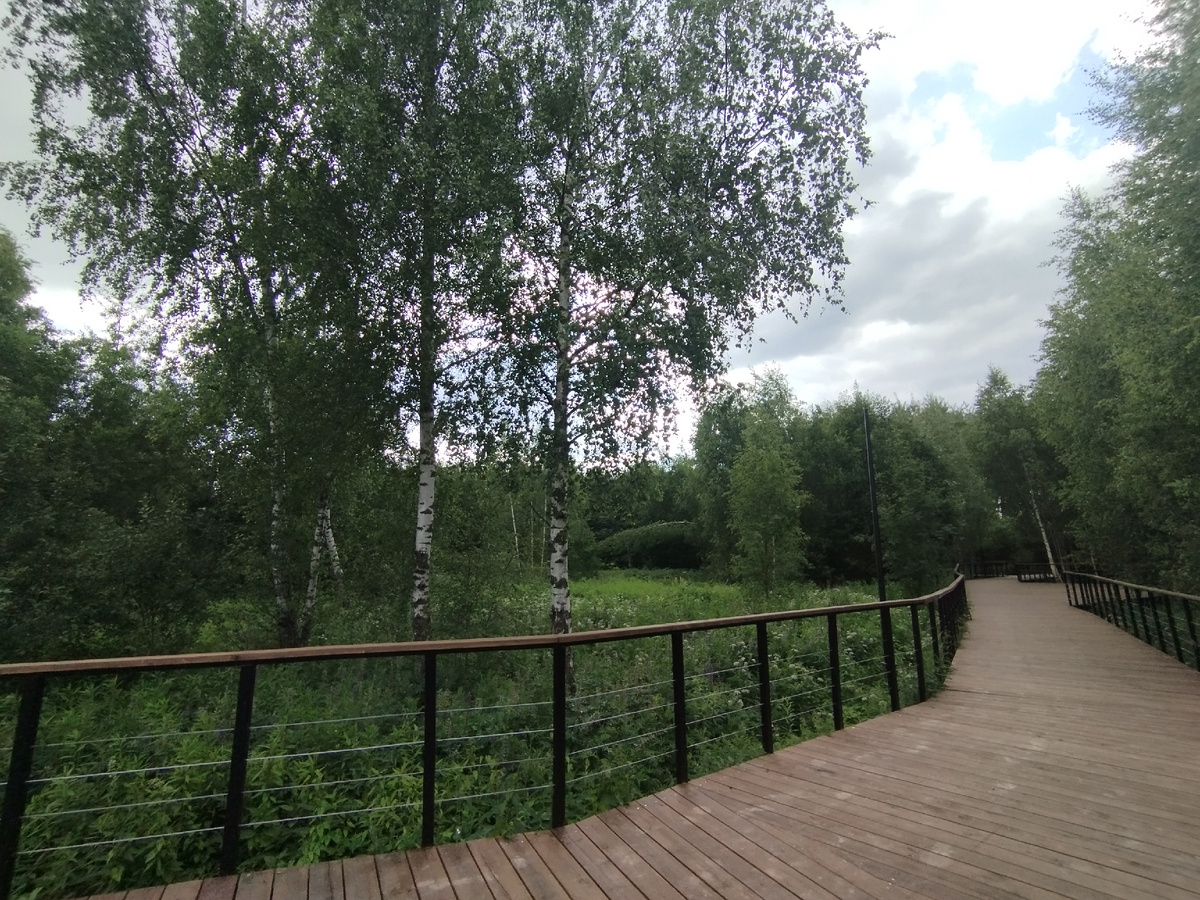 Парк  «Долгие пруды». ЗДЕСЬ и далее фото автора и(или) из личного архива автора, если не указано иначе.