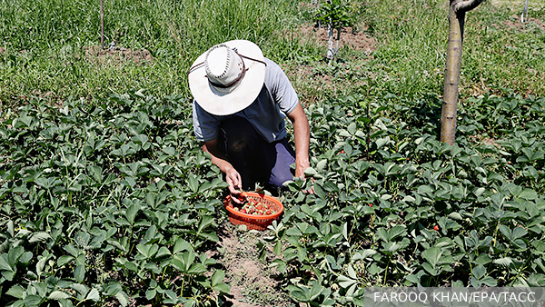     Фото: FAROOQ KHAN/EPA/ТАСС   
 Текст: Станислав Лещенко