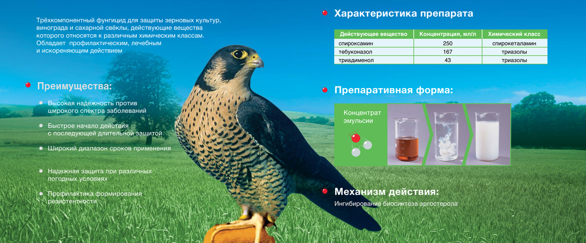 Скриншот с буклета по фалькону 