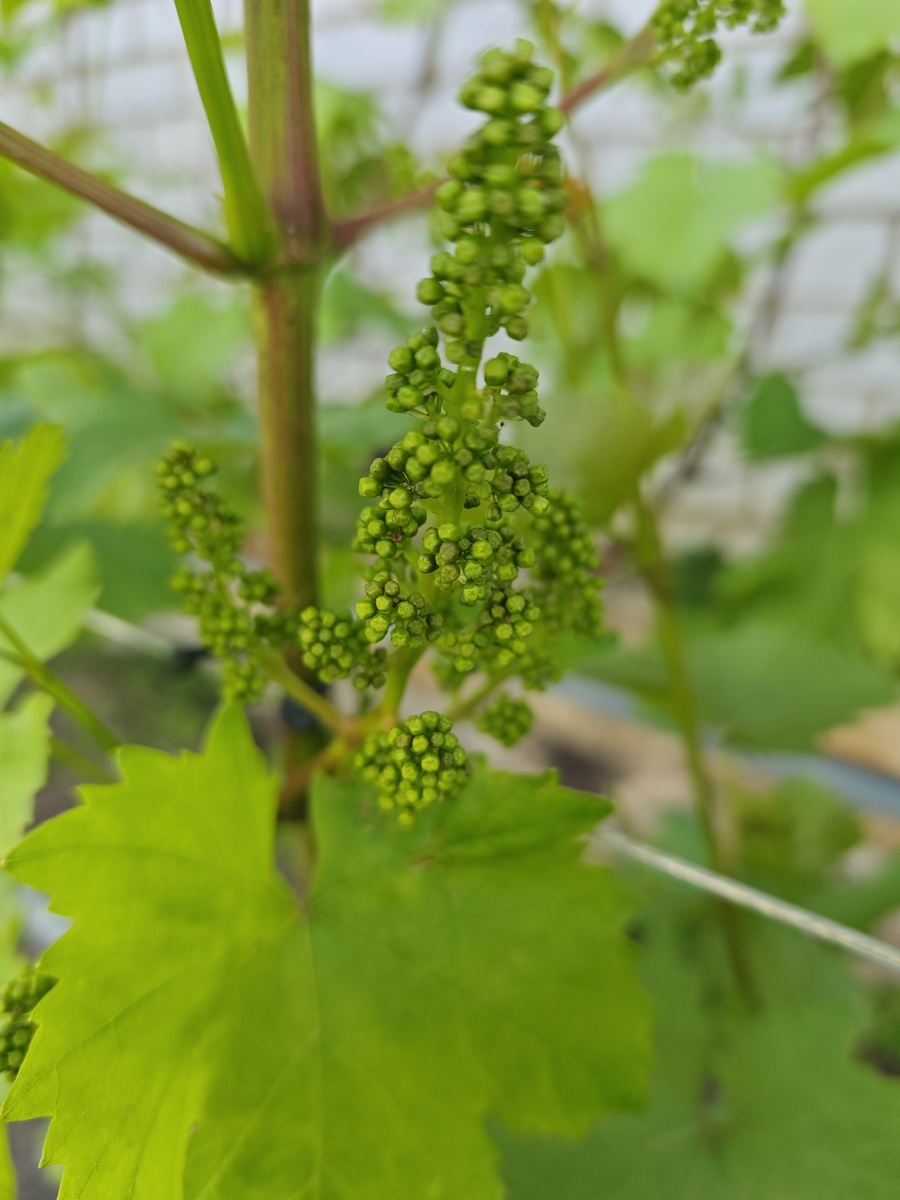 Фото подписчика 