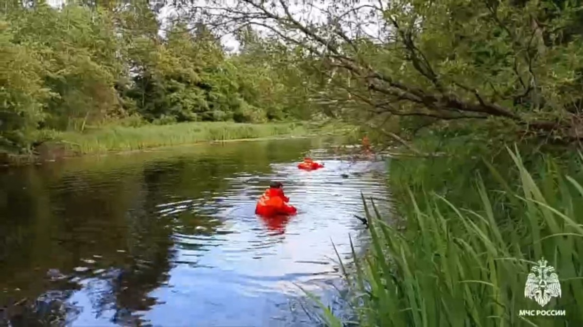    Фото: МЧС РФ
