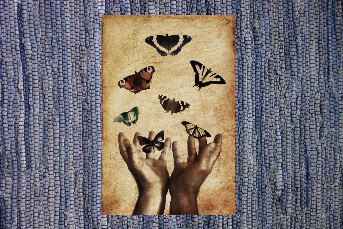 Коллекционер бабочек называется лепидоптерофелист (попробуйте выговорить))