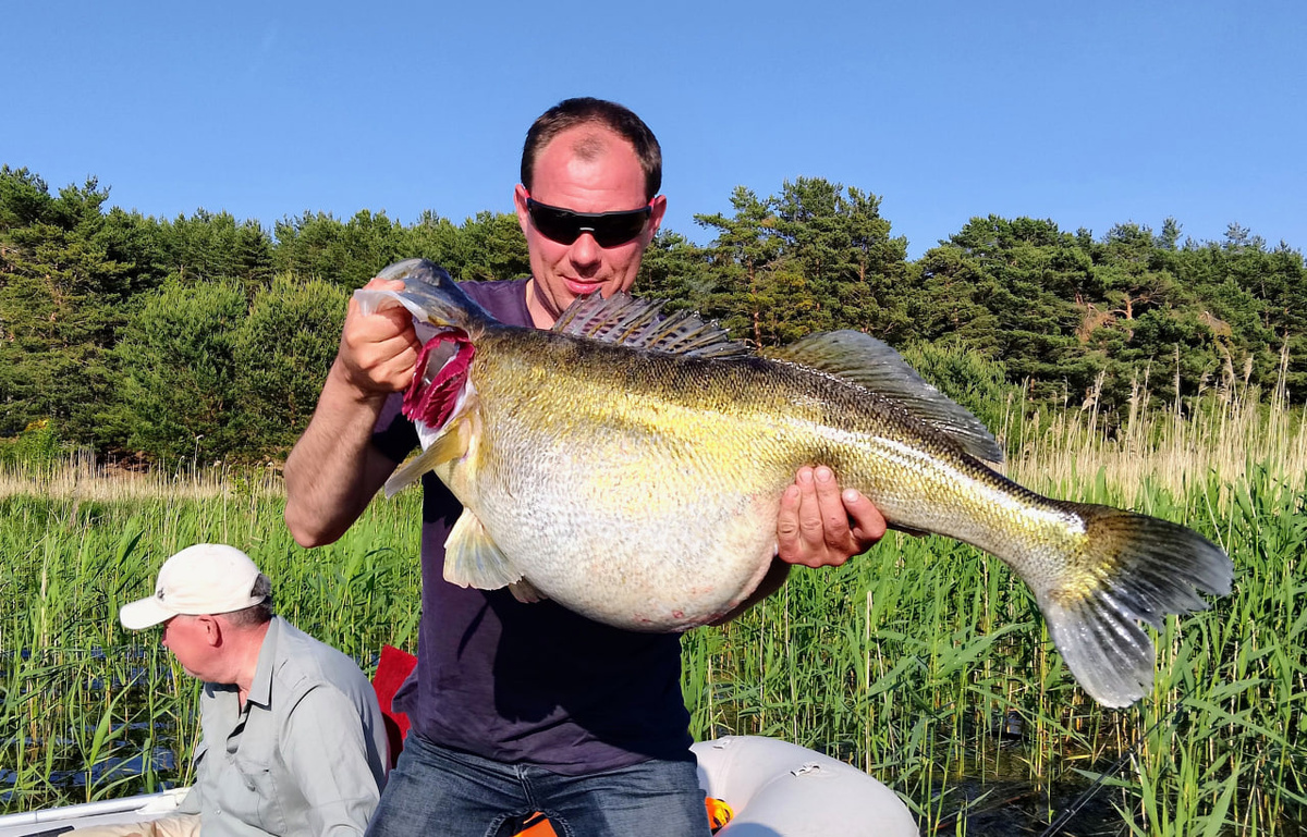 Что это? Избыточное давление от резкого подъёма с глубины или резорбция? Фото из архива автора