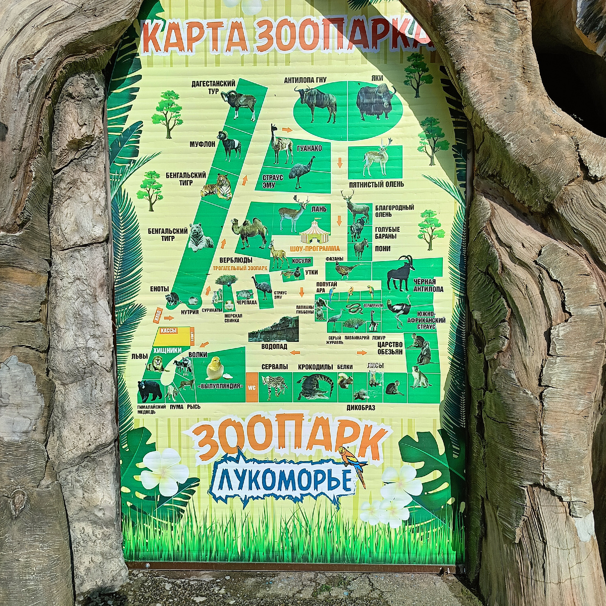 Карта зоопарка. Фото автора.