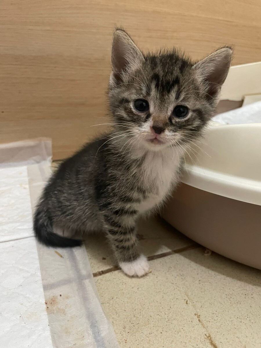 Такое маленькое и такое важное существо