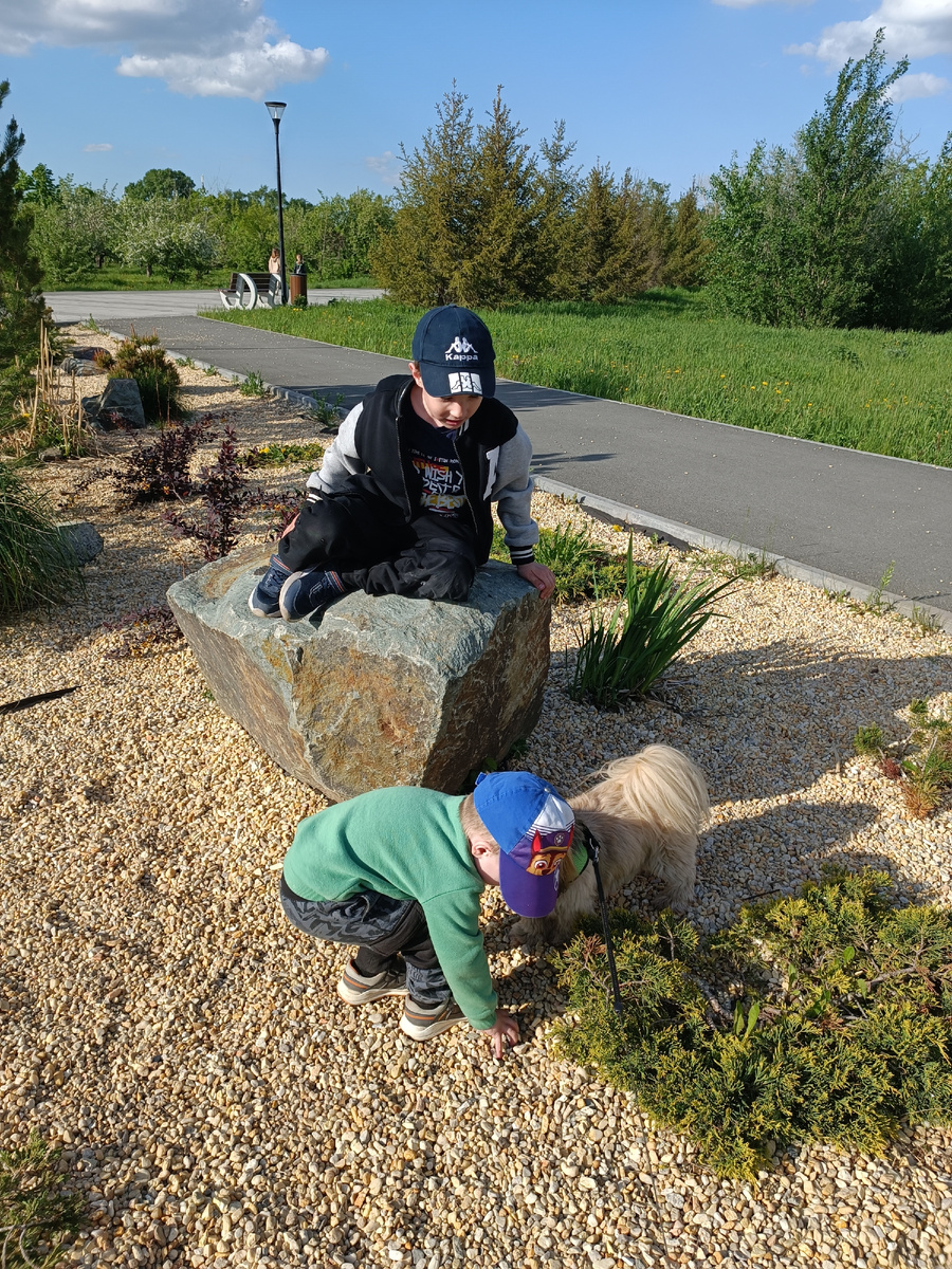 Как не утомить собаку?