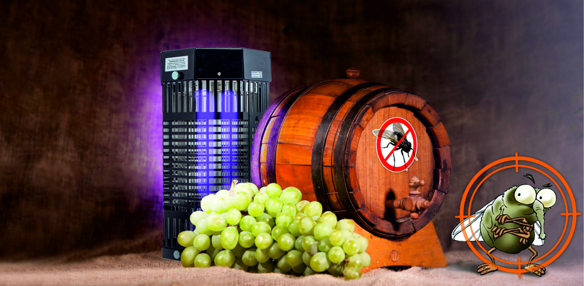 Дрозофиле тут не место