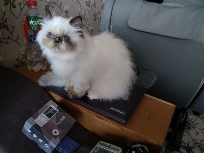 Листайте вправо, чтобы увидеть больше изображений