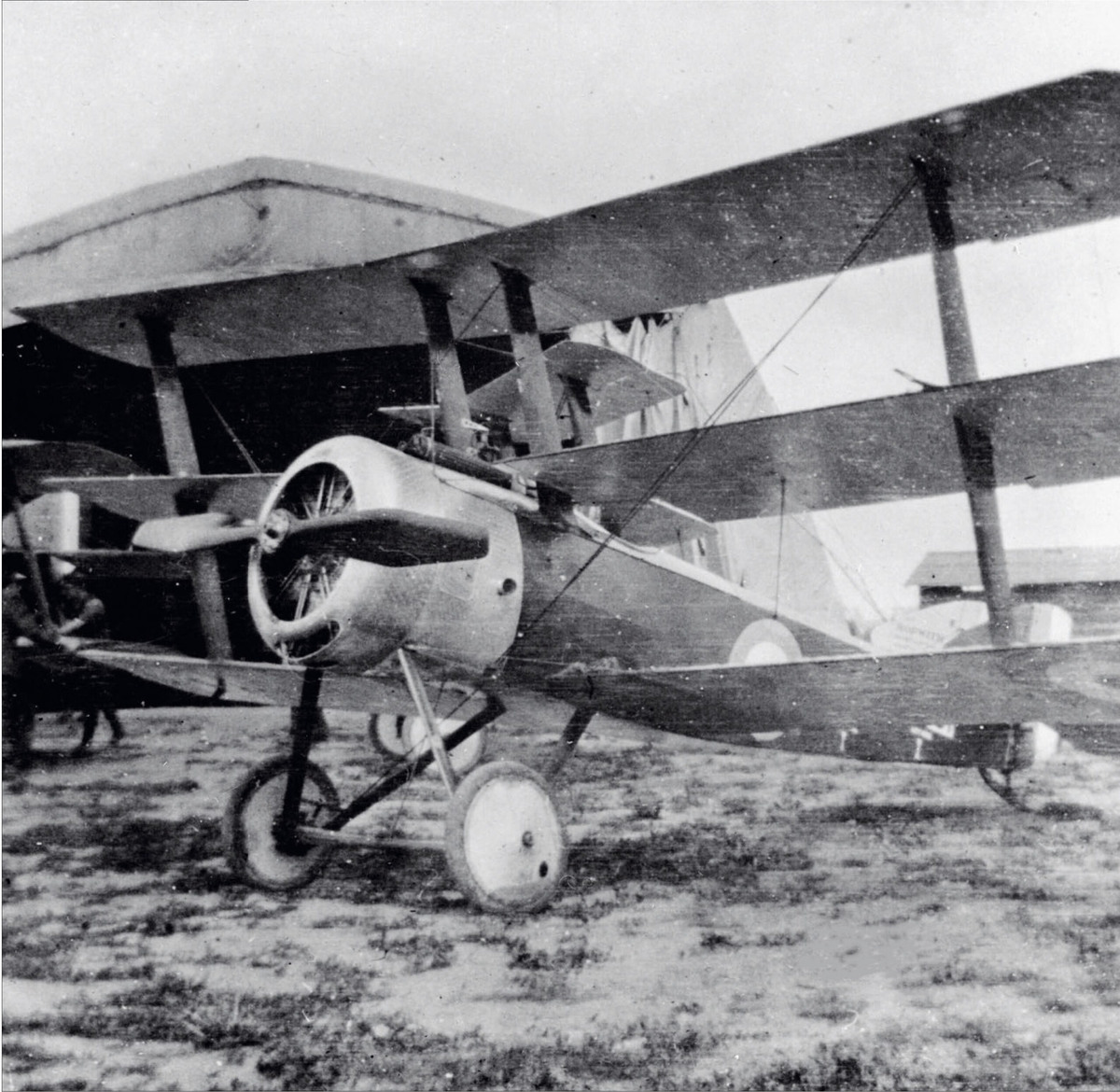 британский истребитель Sopwith Triplan появился в конце 1916 года и послужил источником вдохновения при создании истребителя-триплана Fokker Dr.I. Снимок DR и из коллекции журнала «Cross and Cockade»