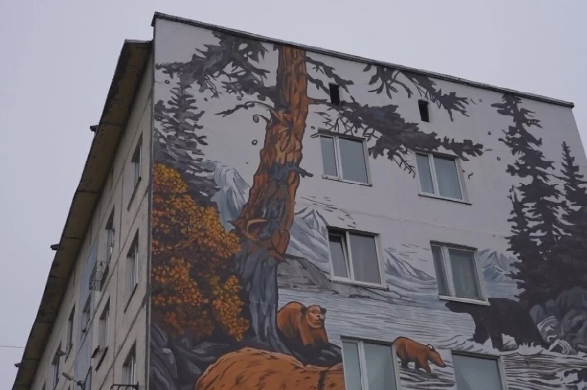    Солодов встретился с художницей, которая нарисовала мурал в Петропавловске