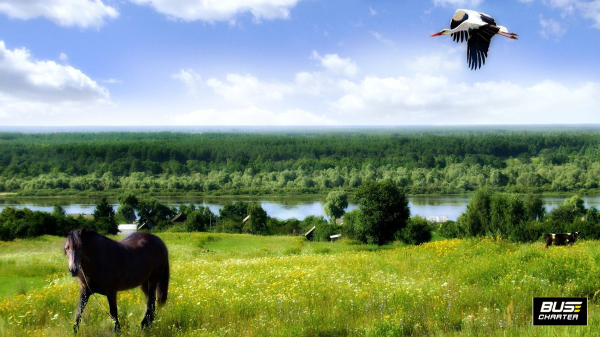 Отдых в Подмосковье с детьми на выходные недорого летом 2025