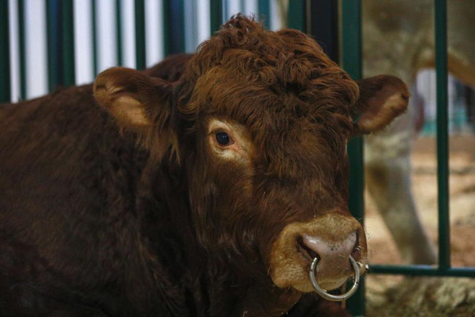    Сергей Булкин/NEWS.ru