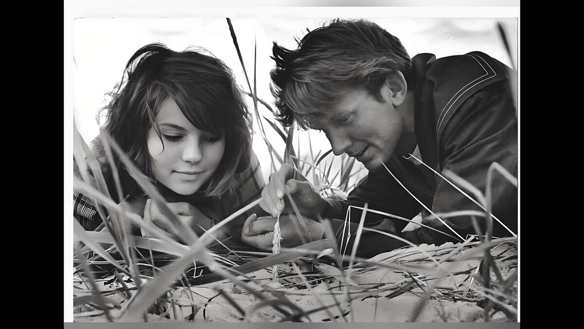 Фото из интернета. На сеновале.