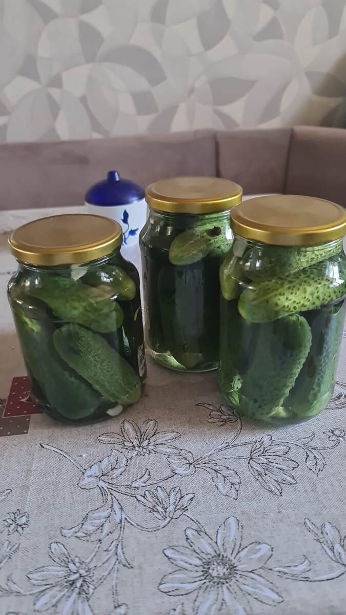 Готовы спрятаться под шубу