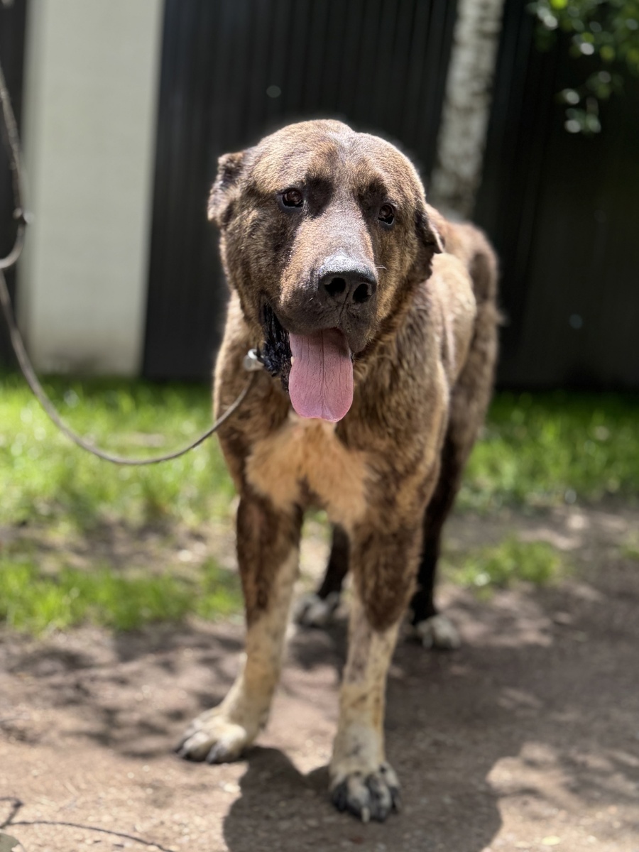 Форсаж сейчас