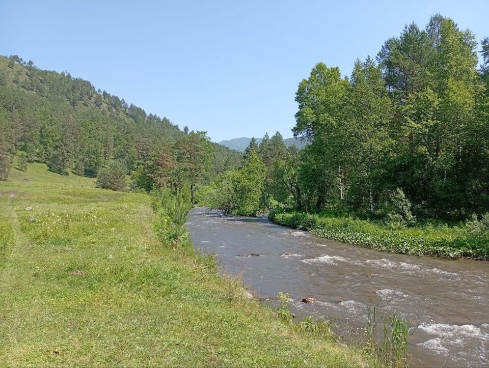    Горный Алтай. Источник: Толк