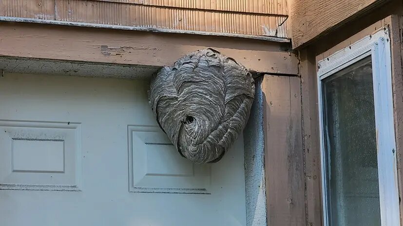    Фото: russian.rt.com Олеся Шмелева