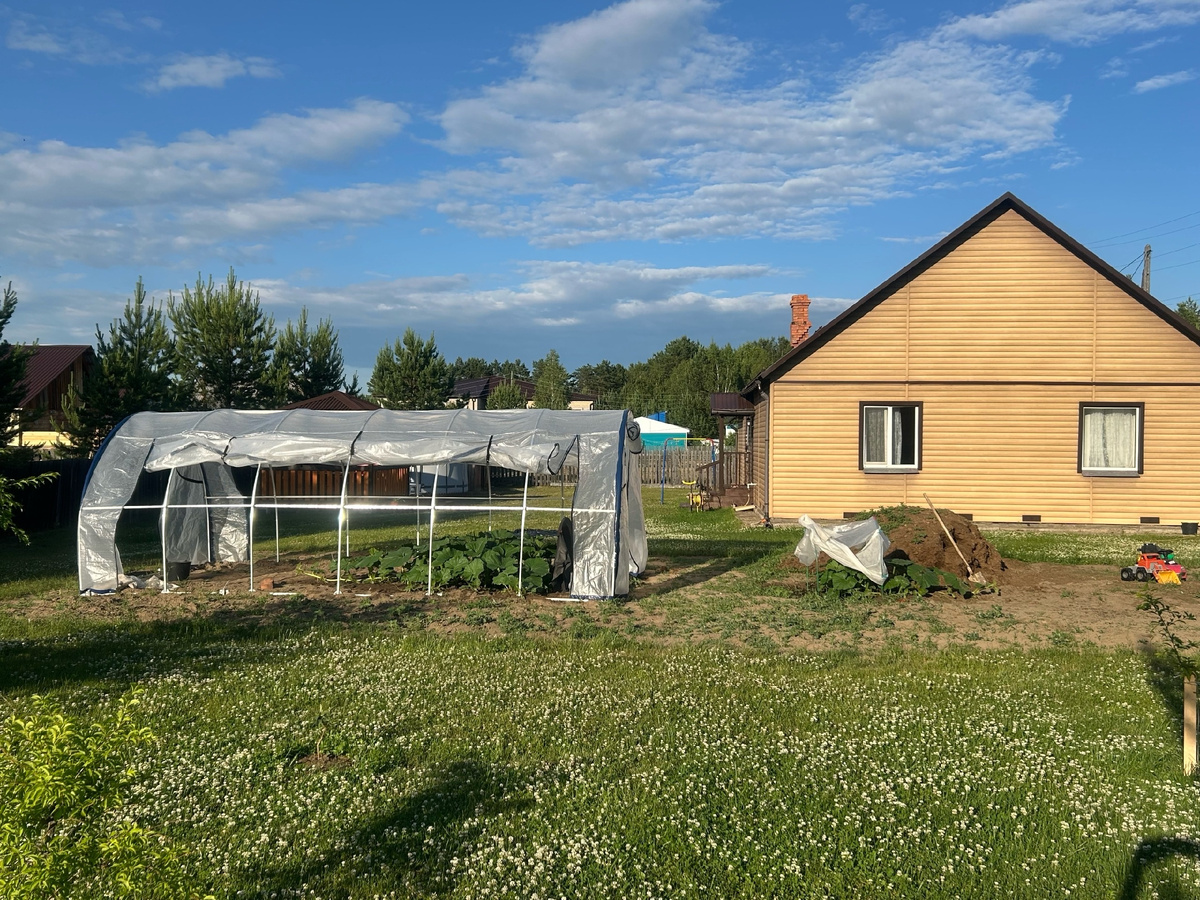 Разница в росте тыкв - в два раза