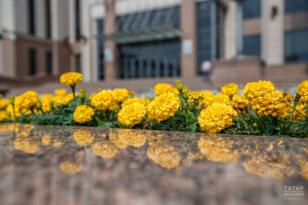 Фото: © Владимир Васильев / «Татар-информ»