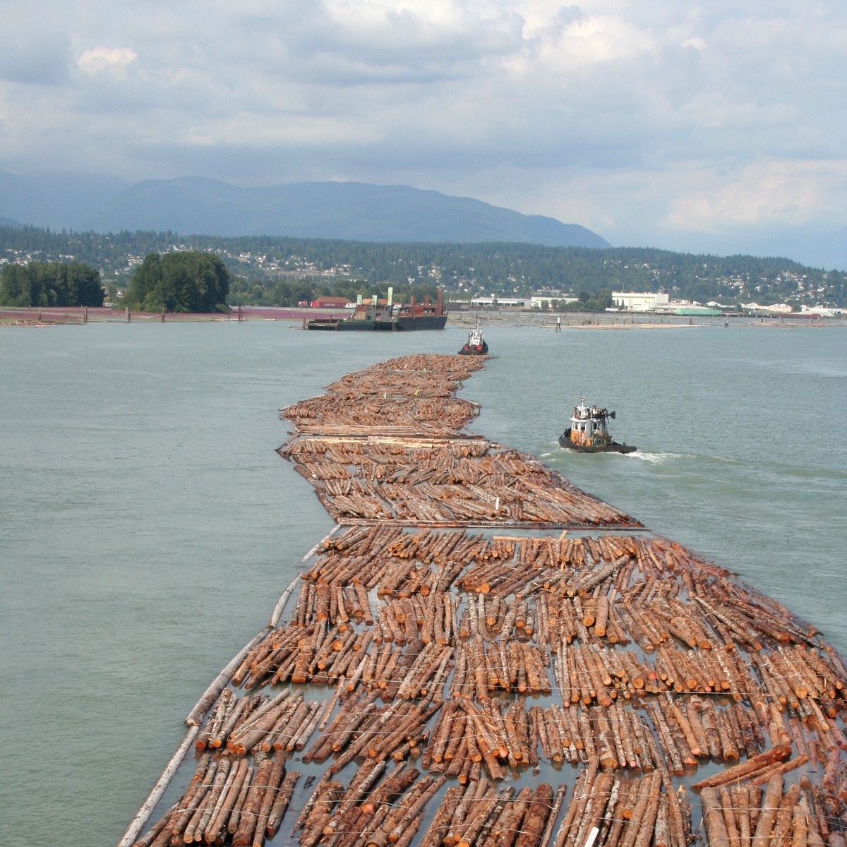 © Tony Hisgett / Wikimedia Commons / CC BY 2.0