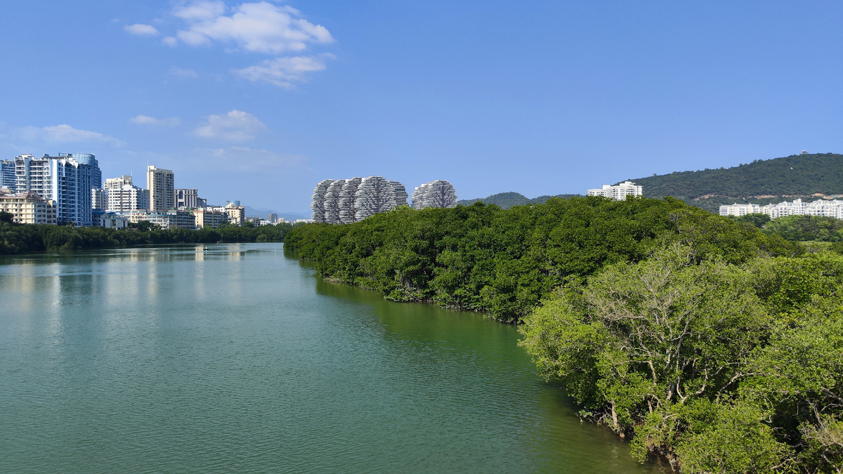 Вид с "Моста Любви" 