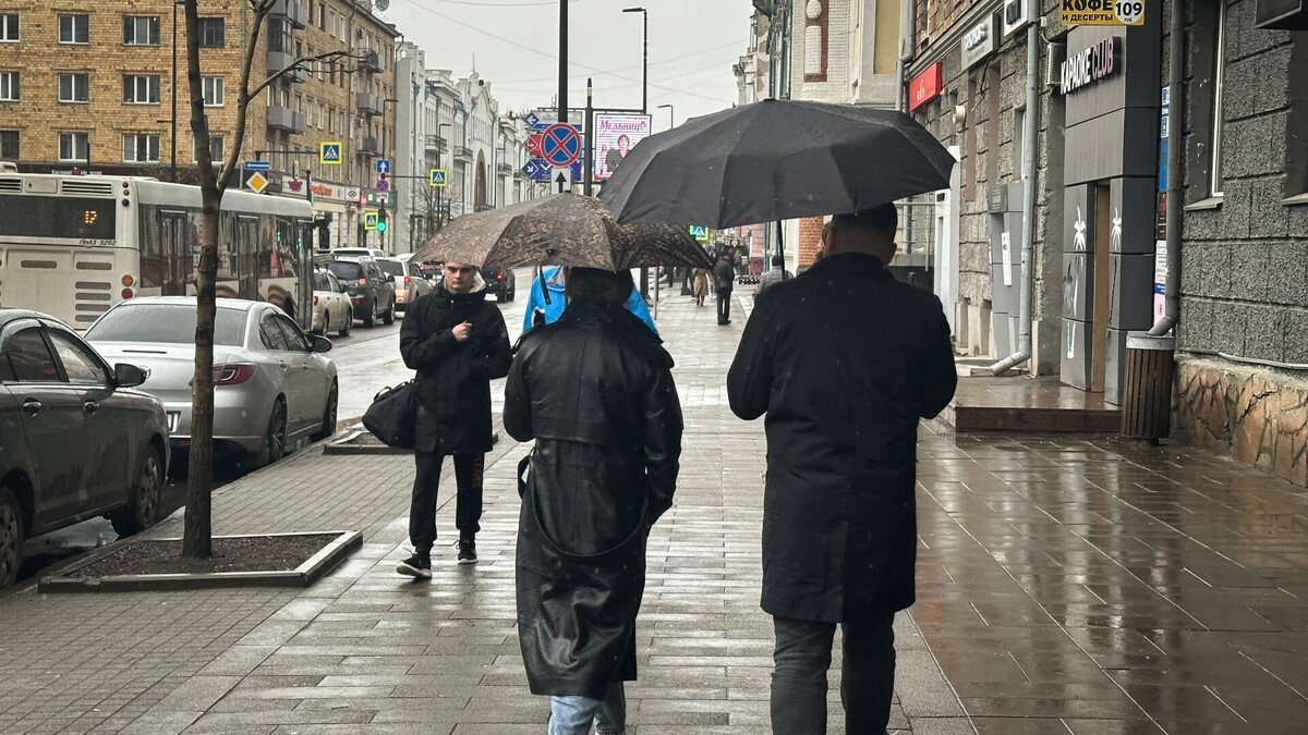     Источник: 1MI