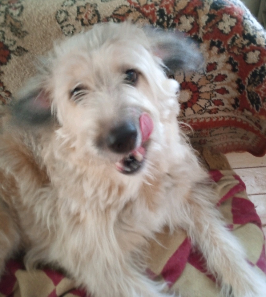 Крутится, вертится. Такое фото получилось🤷(фото моё)