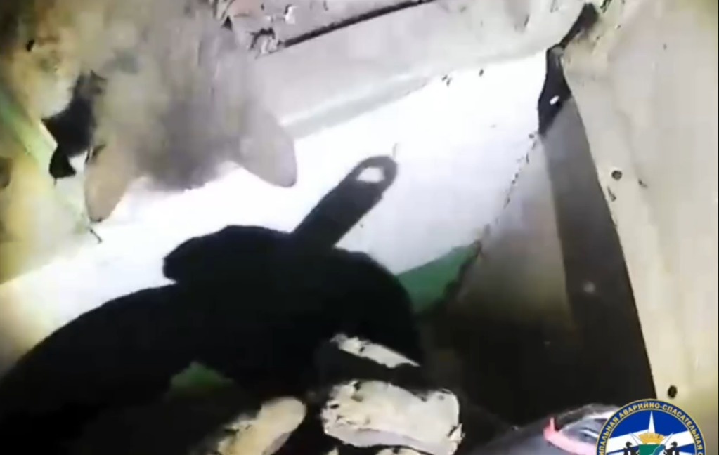    Фото: скриншот видео "Спасатели МАСС" \ Telegram