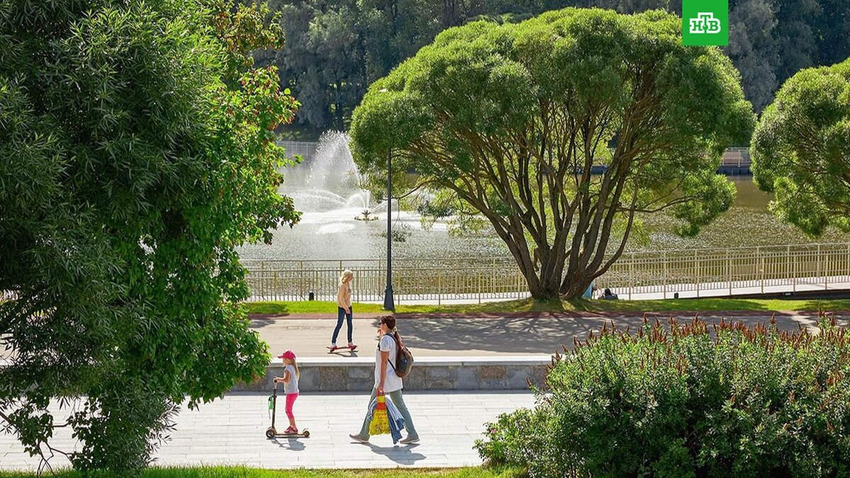    Фото: М. Денисова / mos.ru