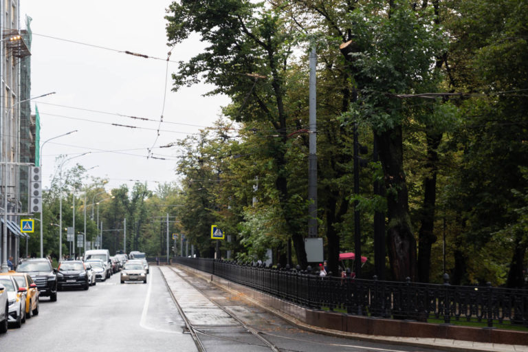    Фото: Общественная служба новостей Александра Горохова