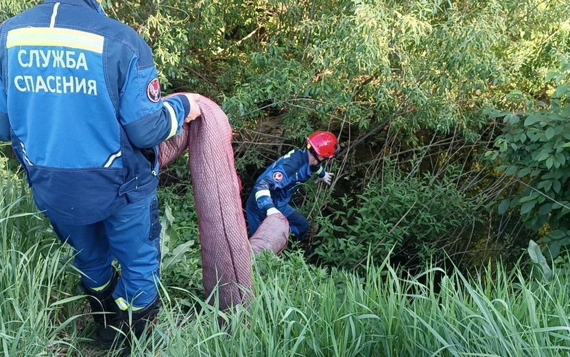    Минприроды Удмуртии: «Опасности разлива нефти за пределы дислокации очага нет»