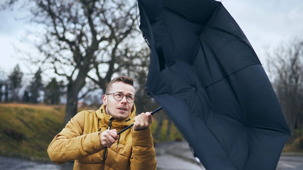    Фото: Jaromir Chalabala/Shutterstock/Fotodom