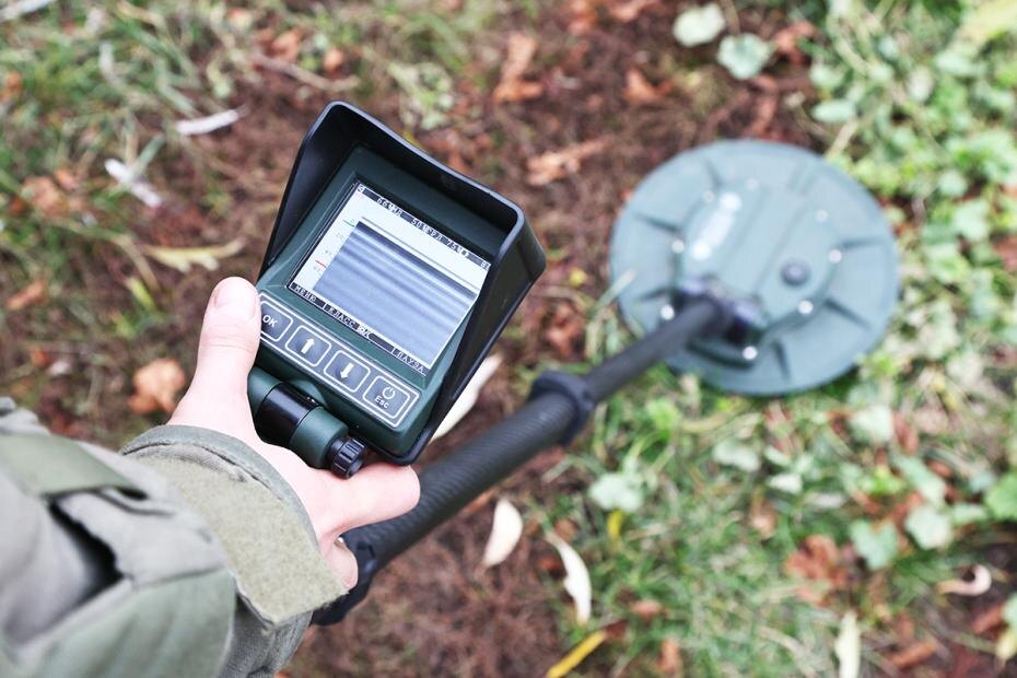    Наталья Шатохина/NEWS.ru