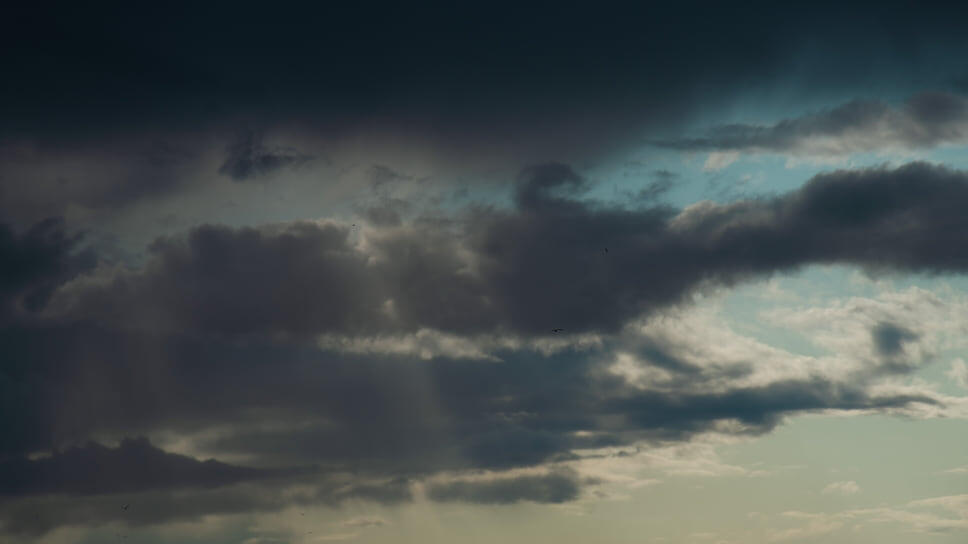 Фото: Олег Харсеев / Коммерсантъ