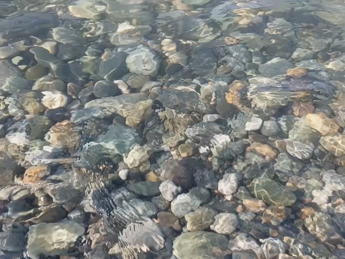 ФТ Сириус, Имеретинская набережная, пляж "Красная поляна", конец июня 2025 г.