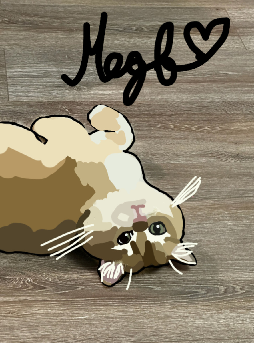 Фон было лень делать, i'm sorry very vell )) 