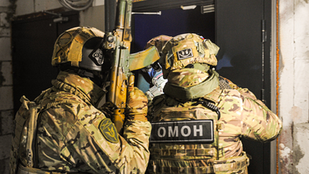    Фото: Vadim Akhmetov/Globallookpress.