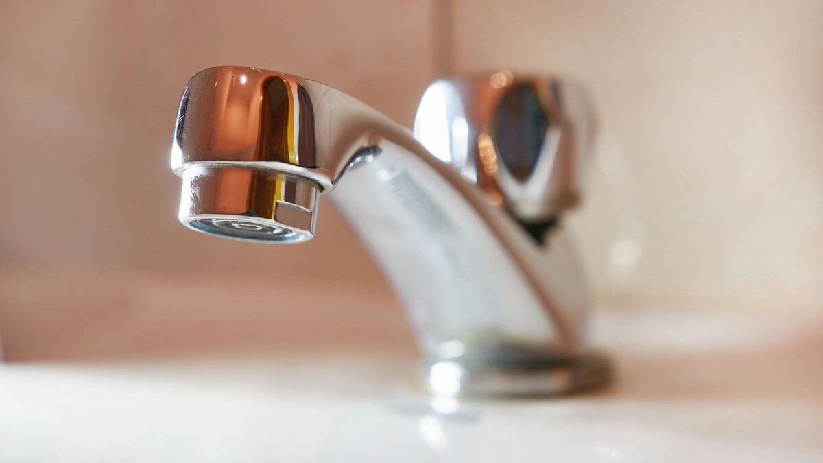    Фото: Vitstyle/Shutterstock/Fotodom