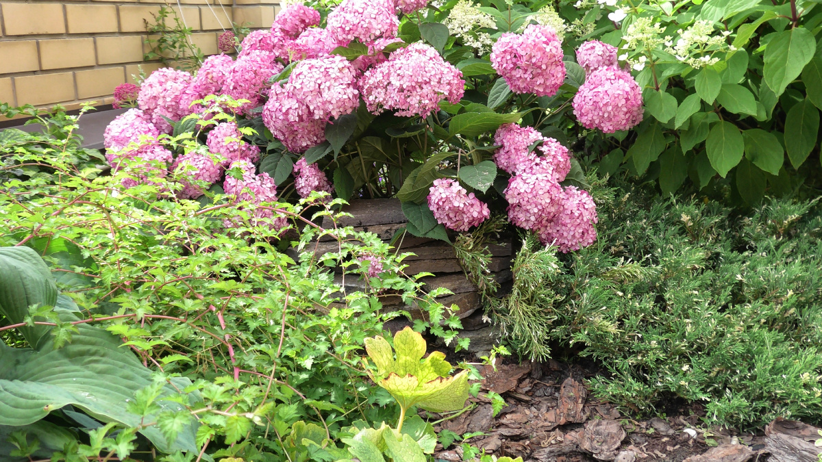 Фото автора канала Дом с кипарисами