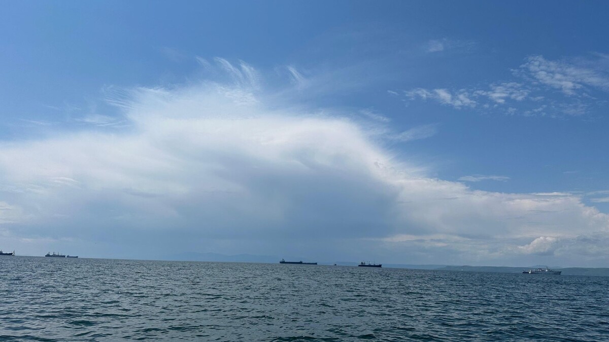     Источник: vostokmedia.com